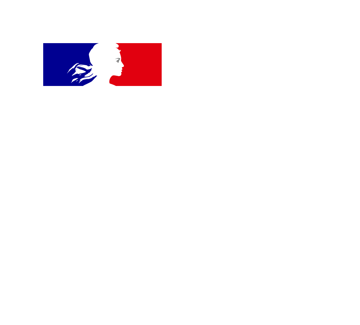 armee_francaise